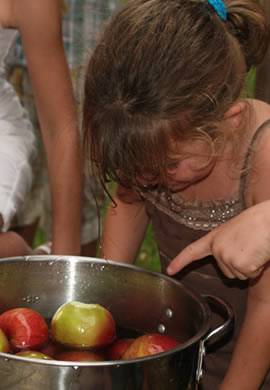 apples.jpg